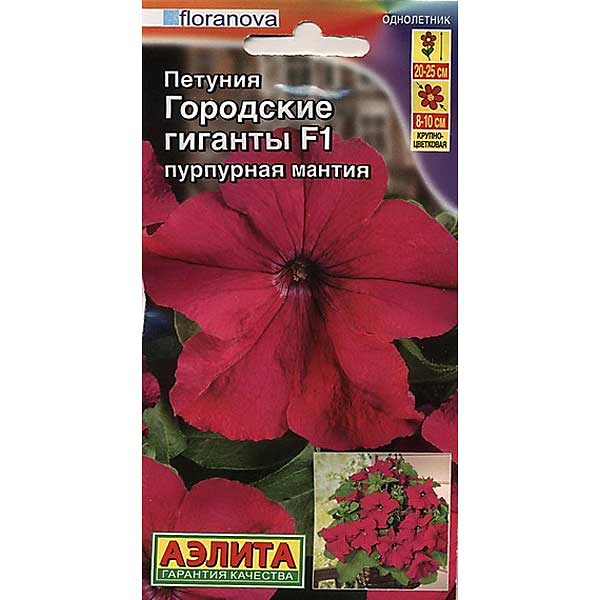 Петуния Городские гиганты пурпурная мантия Аэлита Ц 