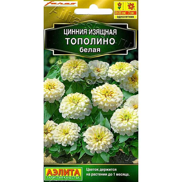 Циния Тополино белая Аэлита Ц 