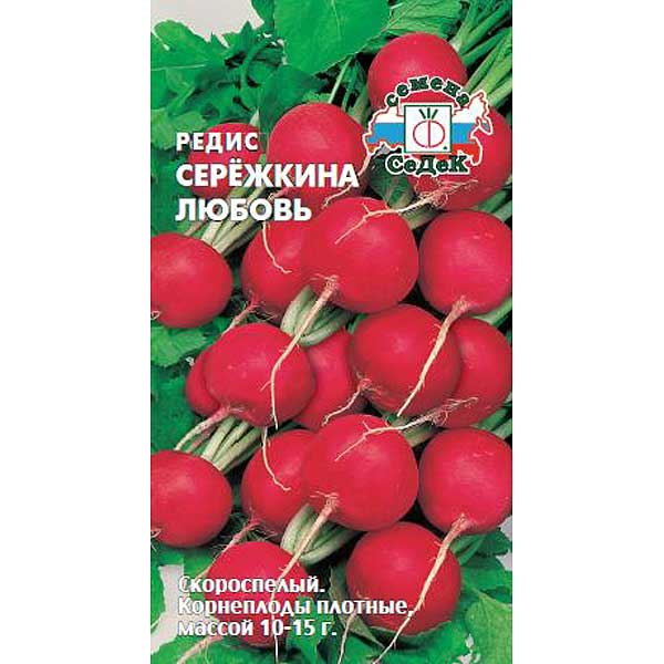 Редис Сережкина любовь Седек Ц