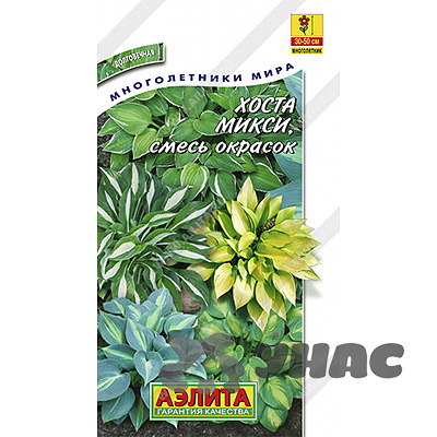 Хоста Микси смесь Аэлита Ц 