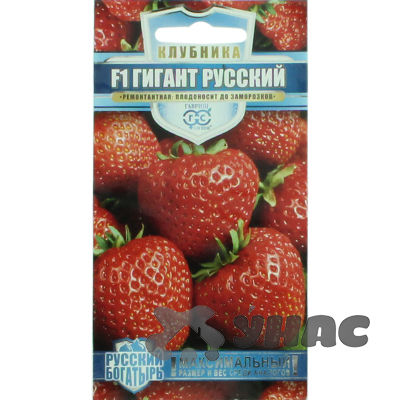 Клубника  Гигант русский Гавриш Ц
