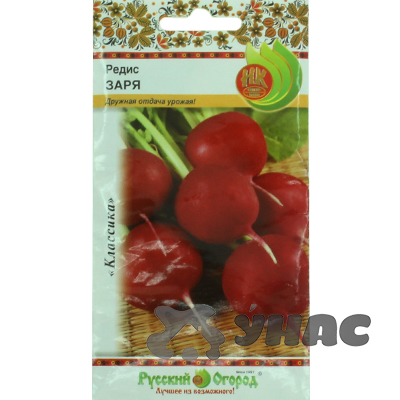 Редис Заря НК Ц