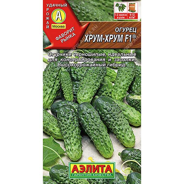 Огурец  Хрум-хрум Аэлита Ц