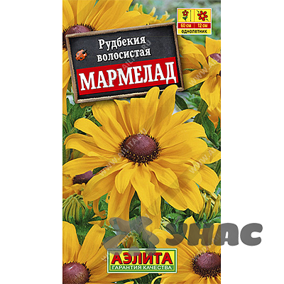 Рудбекия Мармелад Аэлита Ц 