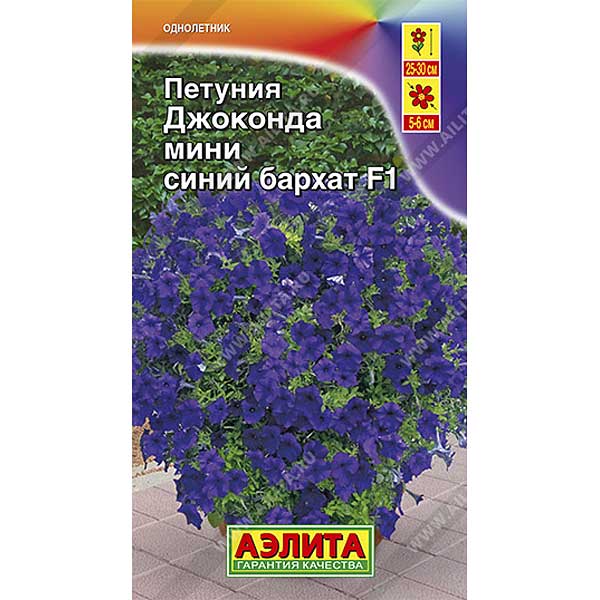 Петуния Джоконда мини синий бархат Аэлита Ц 