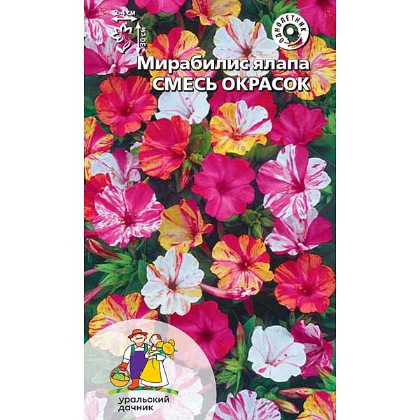 Семена Мирабилис ялапа Смесь окрасок Марс Ц 