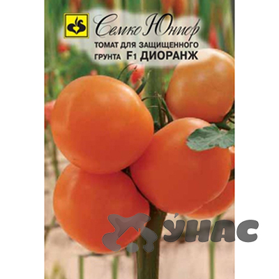 Семена Томат Диоранж Семко