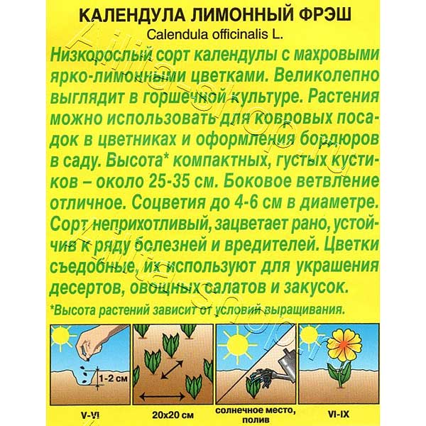 Семена Календула Лимонный фрэш Аэлита Ц х10 