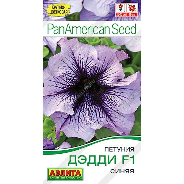 Петуния Дэдди синяя Аэлита Ц х10 