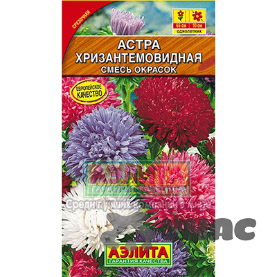 Астра Хризантемовидная смесь Аэлита Ц 