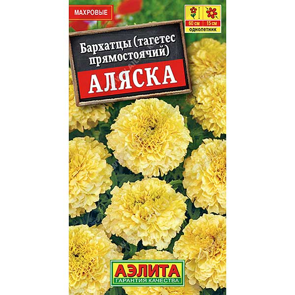 Бархатцы  Аляска Аэлита Ц 