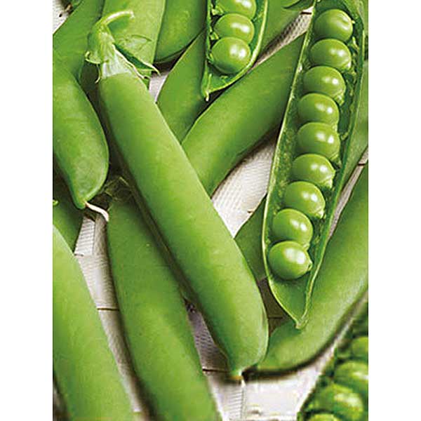 Горох Фуга овощной НК Ц