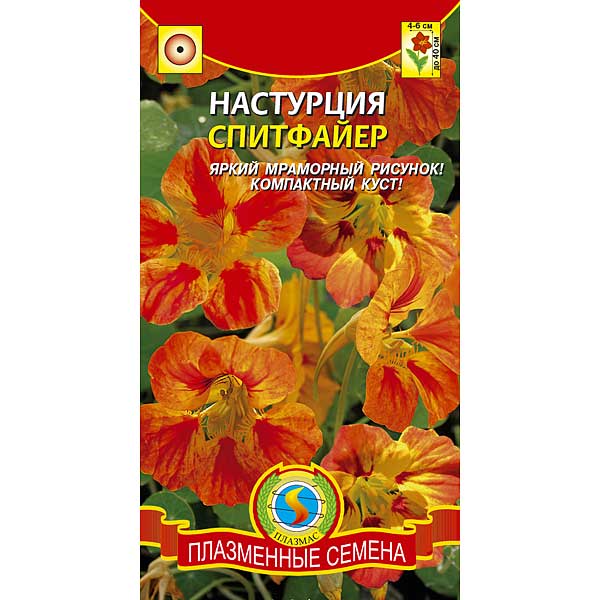 Настурция Спитфайер Плазма Ц 