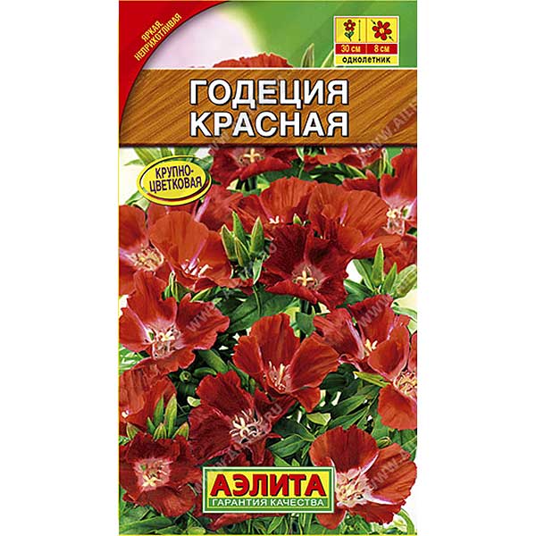 Годеция красная Аэлита Ц 