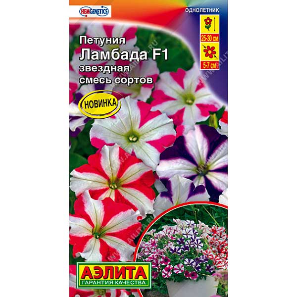 Петуния Ламбада звездная Аэлита Ц 