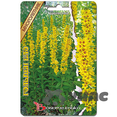 Лизимахия Голден Ело Биотехника Цх10 