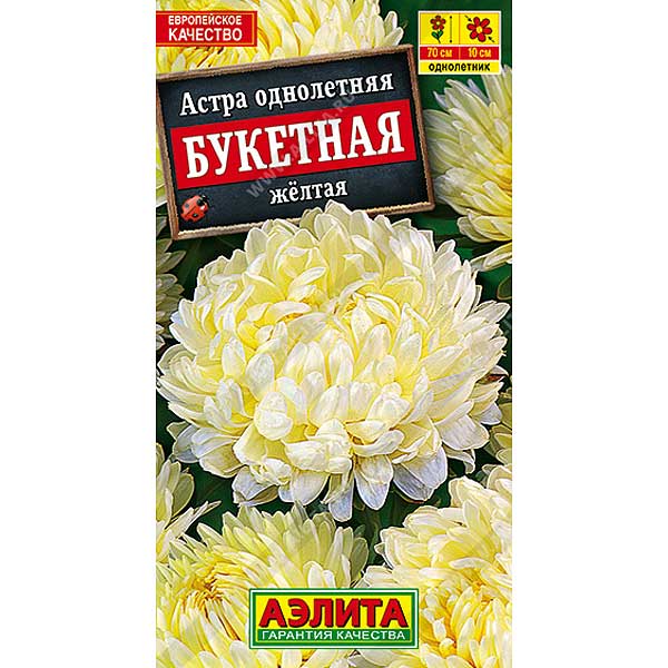 Астра Букетная желтая Аэлита Ц 