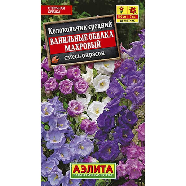 Колокольчик Ванильные облака махров. Аэлита Ц 