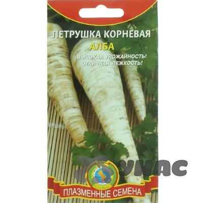 Петрушка Алба корневая Плазма Ц