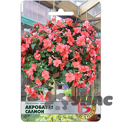 Импатиенс Акробат Салмон Биотехника Ц 