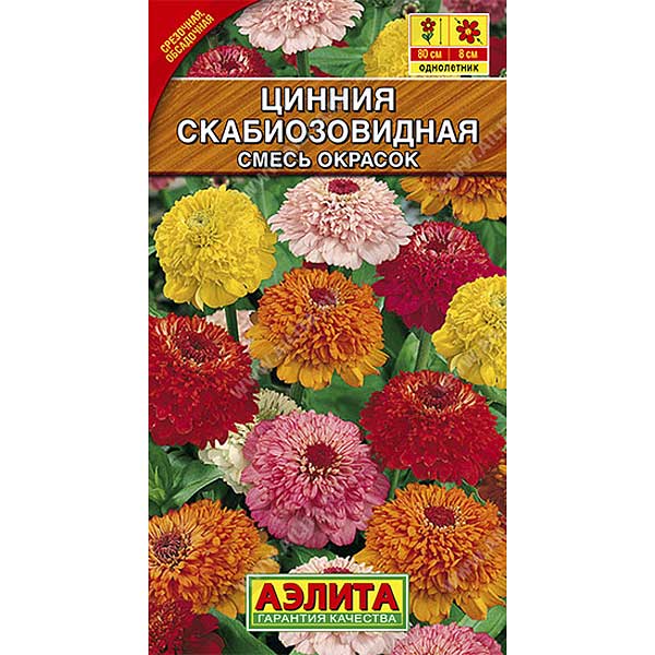 Циния Скабиозовидная Аэлита Ц х10 