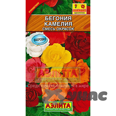 Ком Бегония Камелия смесь Аэлита Ц 