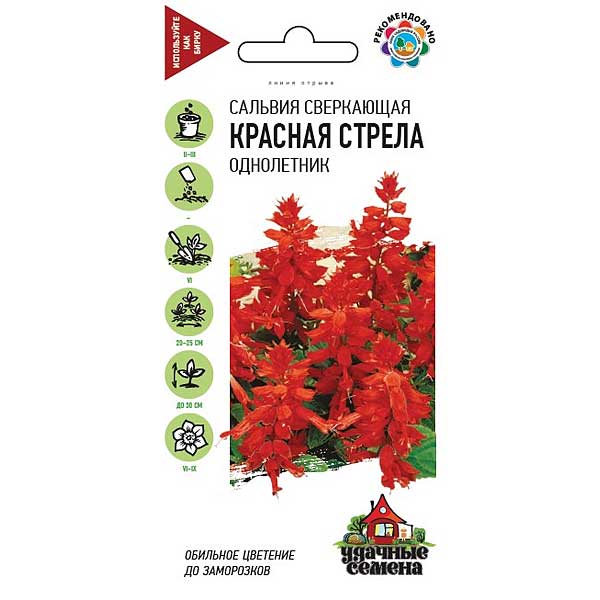 Сальвия (шалфей) Красная стрела Удачные Семена Гавриш Ц 