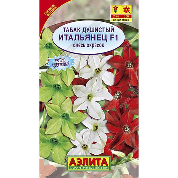 Табак Итальянец душистый Аэлита Ц 