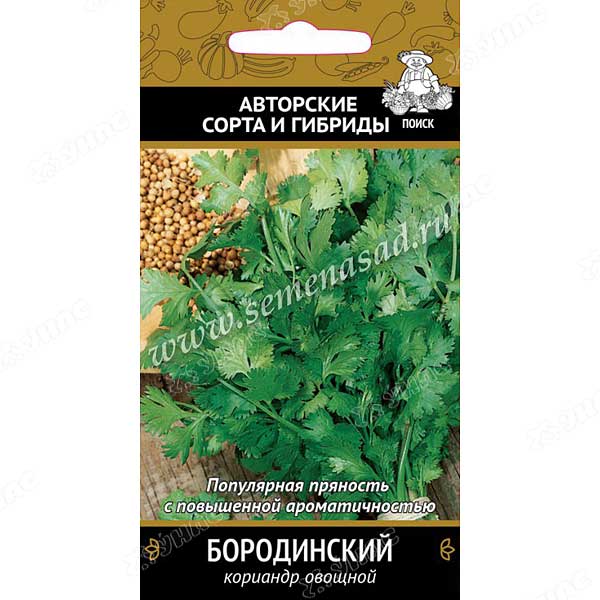Кориандр Бородинский Поиск Ц