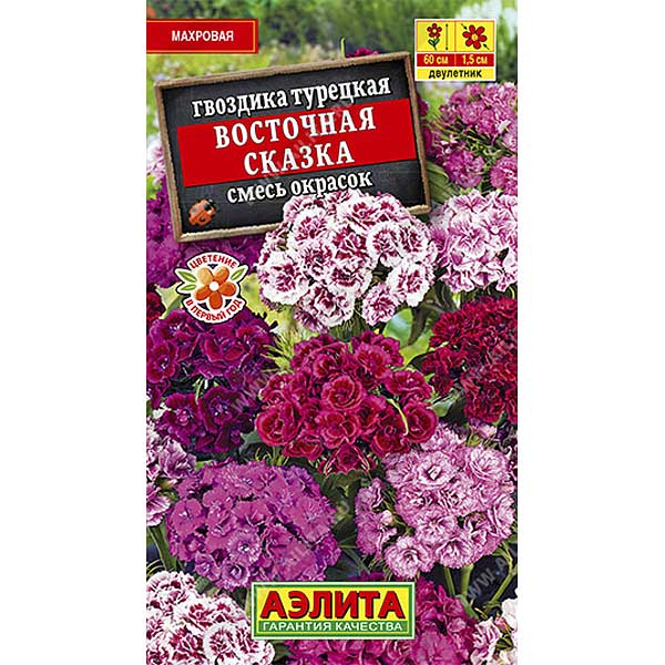 Гвоздика Восточная сказка турецкая махровая Аэлита Ц 