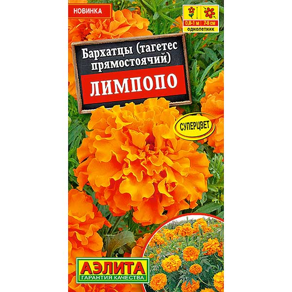 Бархатцы Лимпопо Аэлита Ц 