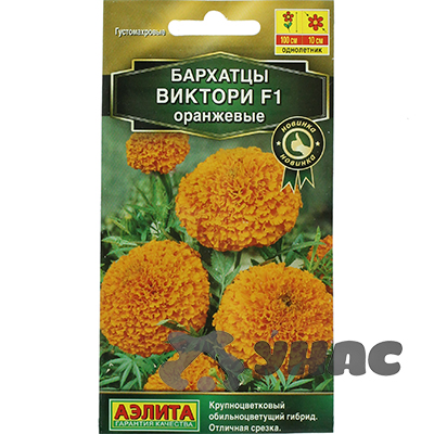 Бархатцы Виктори оранжевые прямостоячие Аэлита Ц 