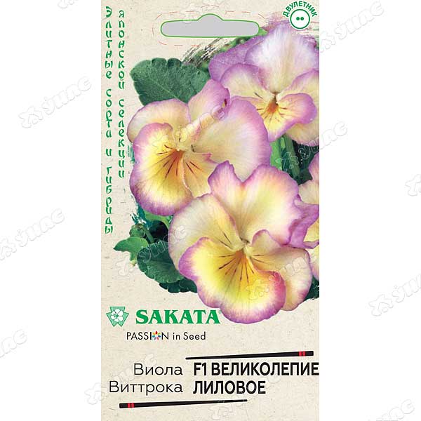 Виола Виттрока Великолепие лиловое Гавриш Ц 