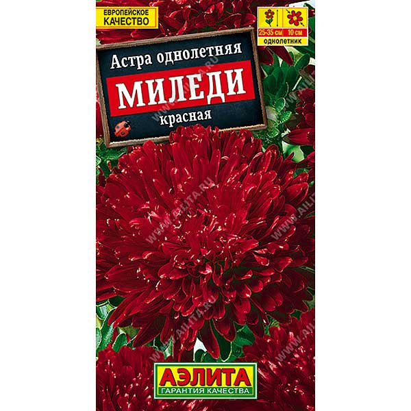 Астра Миледи красная Аэлита Ц 