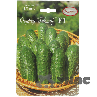 Огурец Гектор 15шт (Нидерланды) Каприс