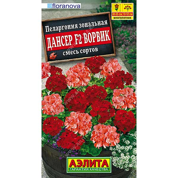 Пеларгония Дансер Ворвик Аэлита Ц 