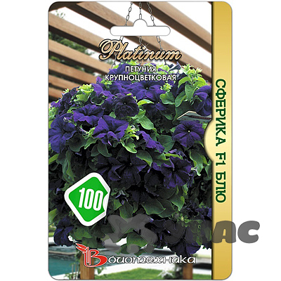 Петуния Сферика Блю Биотехника Ц 