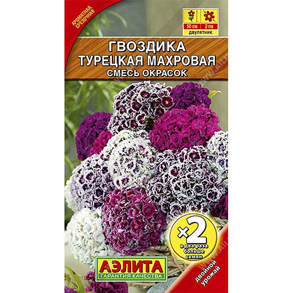 Гвоздика Турецкая махровая смесь 2-ая  гр Аэлита Ц 