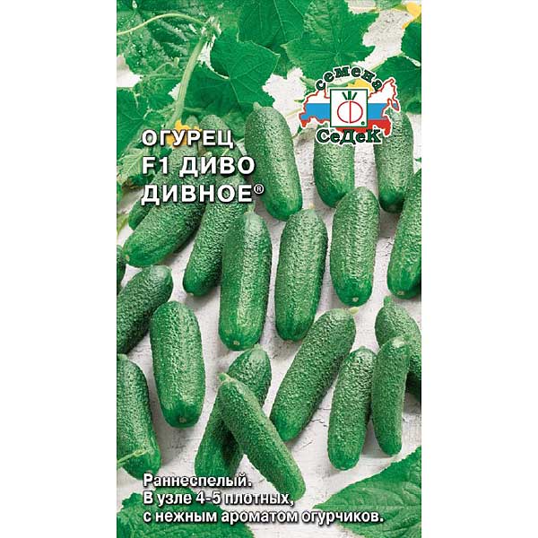 Огурец Диво Дивное Седек Ц