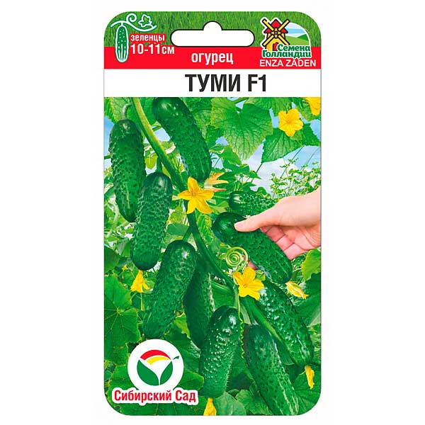 Огурец Туми СибСад