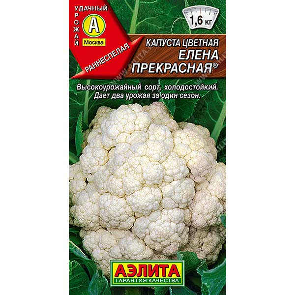 Капуста цв. Елена Прекрасная Аэлита Ц