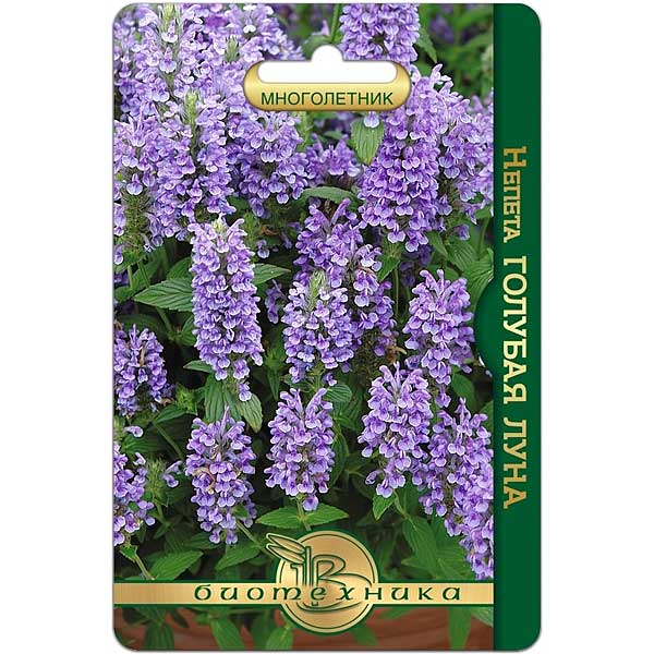 Непета Голубая Луна Биотехника Ц х10 