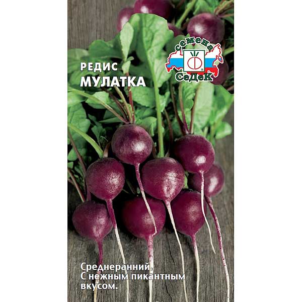 Редис Мулатка Седек Ц
