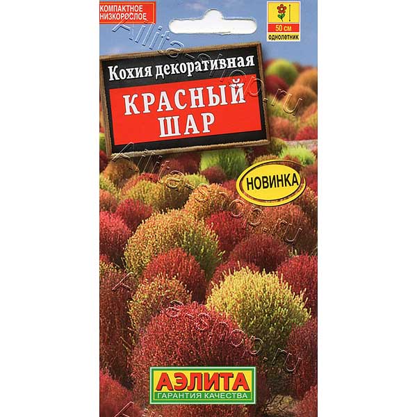 Кохия Красный шар Аэлита Ц 