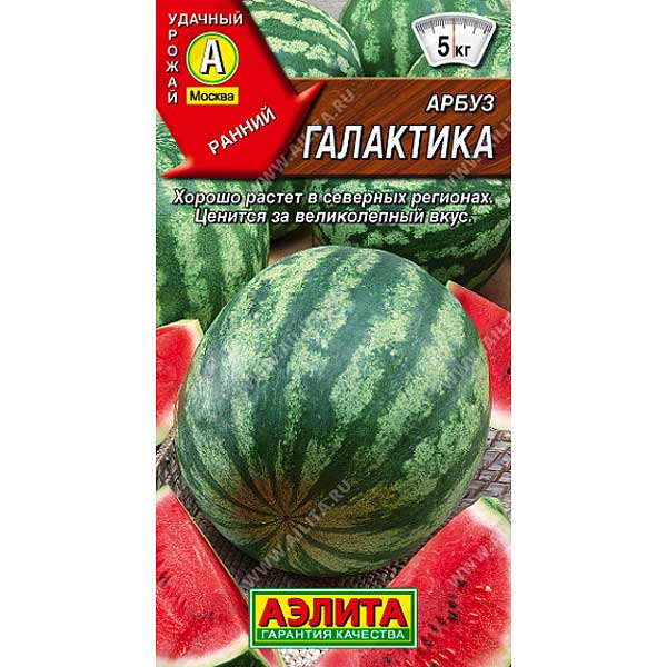 Арбуз Галактика Аэлита Ц