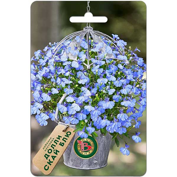 Лобелия Долли Скай Блю Биотехника Ц 