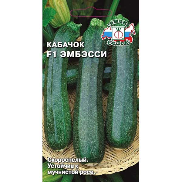 Кабачок Эмбэсси Седек Ц