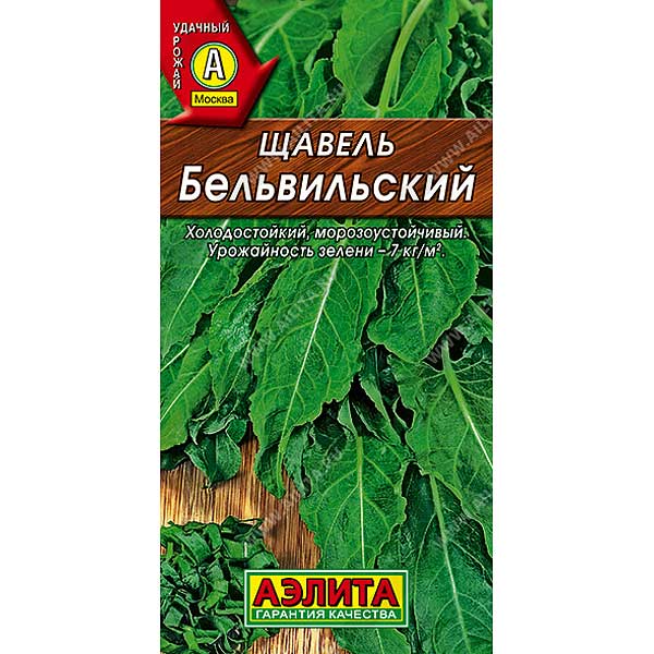 Щавель Бельвийский  Аэлита Ц