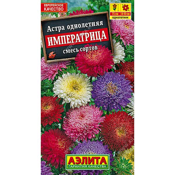 Астра Императрица смесь окрасок Аэлита Ц 