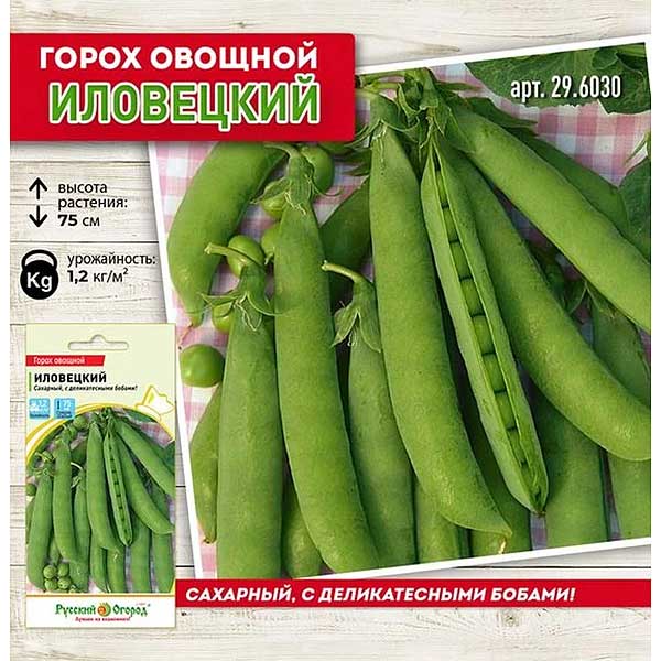 Горох Иловецкий НК Ц